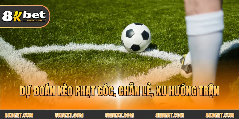Dự đoán kèo phạt góc, chẵn lẻ, xu hướng trận
